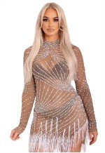 Iris Crystal Embellished Mesh Tassel Detail Dress